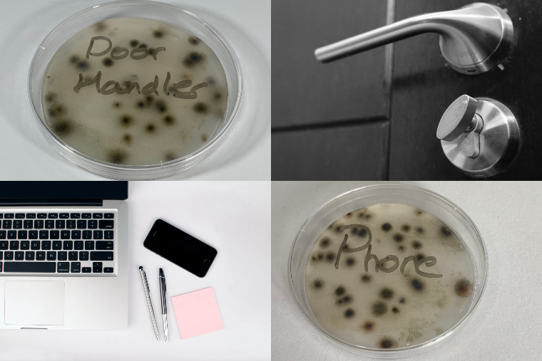 Dishing the dirt: Office bacteria hot spots revealed