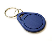 EM4200 125KHZ KeyFobs (Pack of 100)