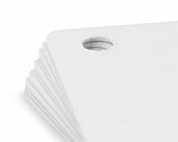 Blank White Plastic Cards with Round Hole Punch (Pack of 100)